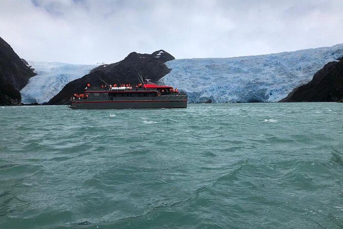 Whale and Glacier Watching from Punta Arenas Francisco Coloane Park - Final Thoughts