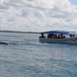 Whale watching Combo Tour Marino Ballena National Park (mid day) - Who Should Consider This Tour?