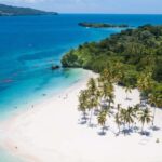 Whale Watching Tour in Samana - Who Should Consider This Tour?