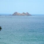 Whales and Dolphins watching Tour From Manuel Antonio - Why This Tour Offers Great Value