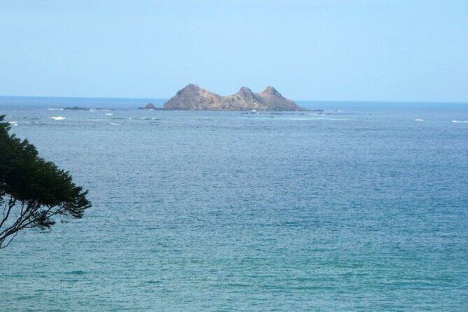 Whales and Dolphins watching Tour From Manuel Antonio - Why This Tour Offers Great Value