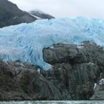 Whales, Penguins & Glaciers Navigation From Punta Arenas - Who Should Consider This Tour?