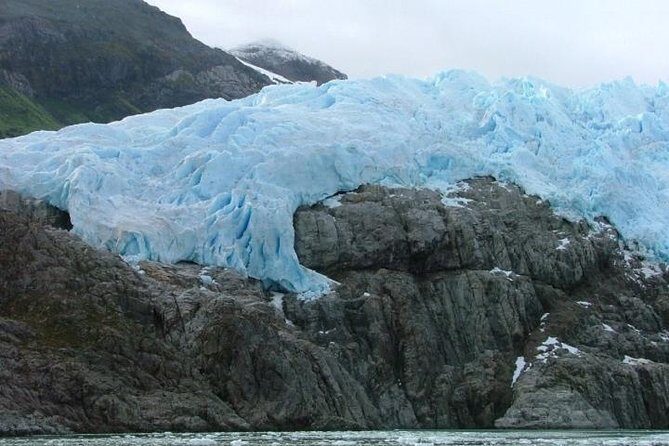 Whales, Penguins & Glaciers Navigation From Punta Arenas - Who Should Consider This Tour?