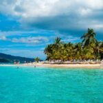 Whales Watching Half Day Experience - Frequently Asked Questions