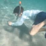 White Sand Beach Jaco Snorkel Adventure with Monkey Tour - Who should consider this tour?