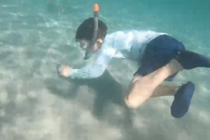 White Sand Beach Jaco Snorkel Adventure with Monkey Tour - Who should consider this tour?