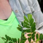 Wild and Medicinal Dominica Private Tour - Who Will Love This Tour?