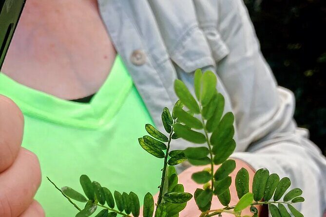 Wild and Medicinal Dominica Private Tour - Who Will Love This Tour?