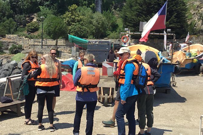 Wild Penguins,Birds,Sandboard,Chilean Drinks & Food/From Valpo - FAQ