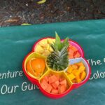 Wild & Scenic Rainforest Nature Walk (Day Time River & Swim) - Authentic Experiences That Offer Real Value