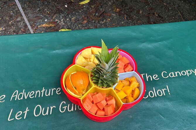 Wild & Scenic Rainforest Nature Walk (Day Time River & Swim) - Authentic Experiences That Offer Real Value