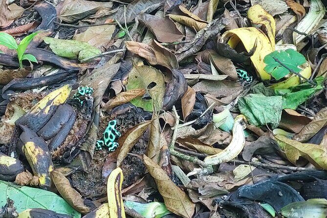 Wild, Sweet and Refreshing: A Tour of Cahuita, Bri-Bri and Ma-Cu - Exploring the Itinerary in Detail