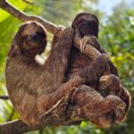 wildlife adventure & beach - FAQ (Frequently Asked Questions)