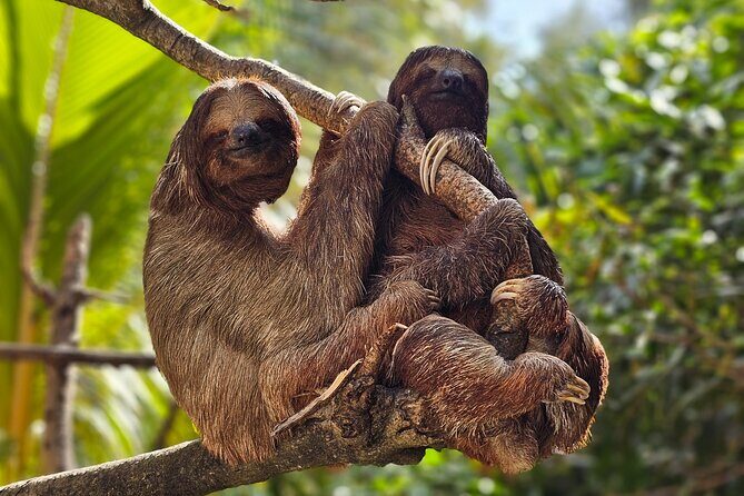 wildlife adventure & beach - FAQ (Frequently Asked Questions)