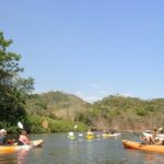 Wildlife and Mangrove Kayaking Tour Río Ora - Who Should Book This Tour?