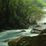 Wildlife Nature Hike, Blue Waterfall, Lunch & Sloth Trail - Tenorio Volcano Park - Frequently Asked Questions