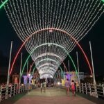 Willemstad City Tour with Bus Transport - Who Should Consider This Tour?