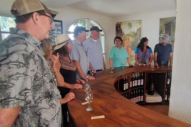 Wine and Rum Private Tour from Puerto Quetzal - Who Should Consider This Tour?
