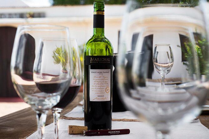 Wine cellar & Tasting in Montevideo with Outstanding Lunch - Frequently Asked Questions