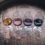 Wine Idols: Meet El Enemigo by Alejandro Vigil - A Closer Look at the Tour Itinerary and Highlights