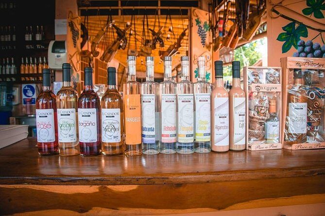 Wine, Pisco and Dune Buggy Experience - A Closer Look at the Itinerary