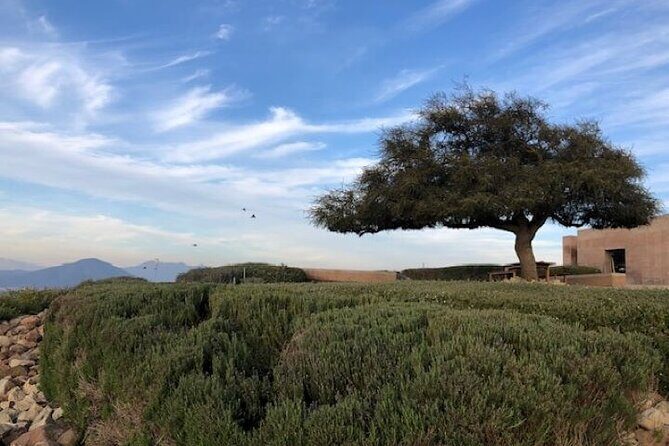 Wine Tasting Day Tour to Vineyard Casas del Bosque in Casablanca - An In-Depth Look at the Experience