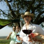 Wine Tour and Santiago City in a Small Group - Authentic Experiences Highlighted in Reviews