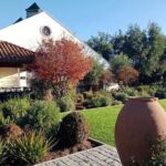 Wine Tour Casas del Bosque+Bodegas RE Vineyards Casablanca Valley - FAQ