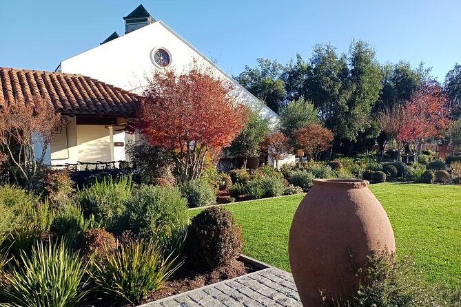 Wine Tour Casas del Bosque+Bodegas RE Vineyards Casablanca Valley - FAQ