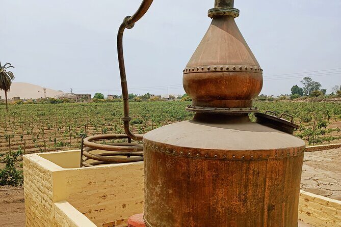 Wine Tour of the Origin, History and Tradition of Pisco - A Deeper Dive Into the Tour Itself