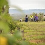 Wine Tour Privado a Calamuchita, Córdoba - Argentina - Final Thoughts: Is It Worth It?