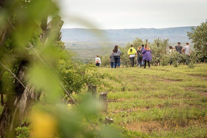 Wine Tour Privado a Calamuchita, Córdoba - Argentina - Final Thoughts: Is It Worth It?