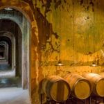 Wine Tour Privado a Colonia Caroya, Córdoba - Argentina - Who Should Consider This Tour?