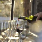 Wine Tour to Colonia Caroya, Cordoba - Half Day - A Detailed Look at the Córdoba Wine Tour to Colonia Caroya