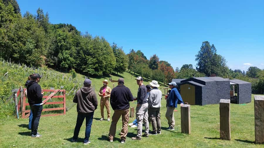 Wine Tour with tasting at Pucón's first winery - A Closer Look at the Pucón Wine Tour