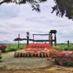 Winery and Pisco Distillery tour - Value for Money