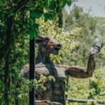 Winery The Enemy + Argentine Roast with Wine. Private transportation - Who Should Consider This Tour?