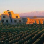 Winery The Enemy + Zapata Angelic Lunch. Private transportation - Detailed Itinerary Breakdown