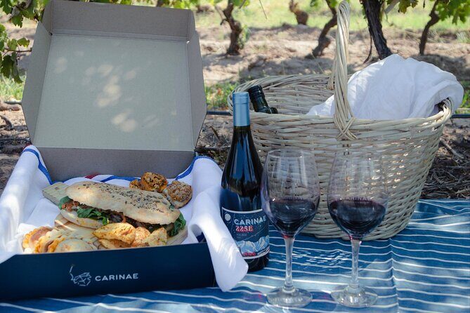 Winery Trapiche + Laur + Lunch in Tempus Alba. Private transfer - Practical Details and What You Should Know