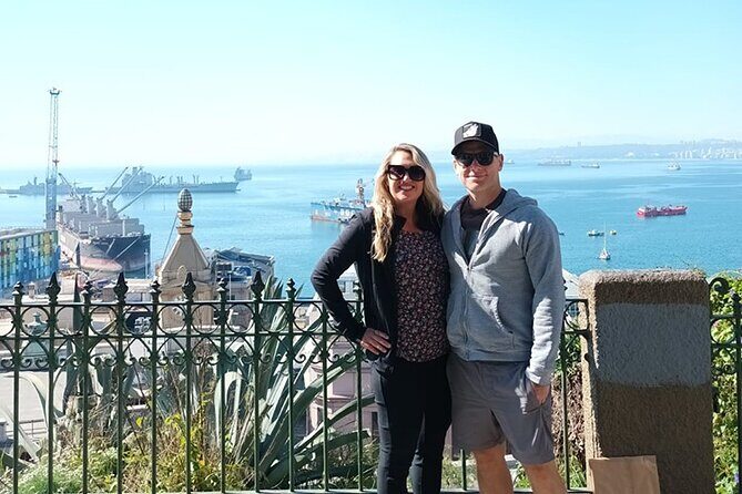 Winery & Valparaiso Private Tour - day trip from Santiago - Who Will Love This Tour?