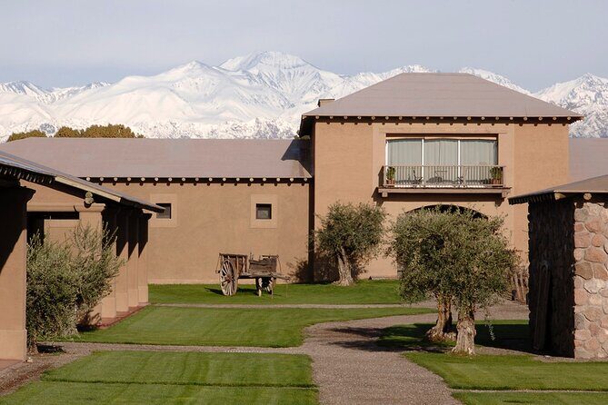 Winery Vistalba + Lunch Susana Balbo. Private transportation - Why This Tour Offers Great Value