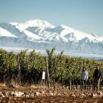 Wines and Sparkling - The Experience for Different Travelers