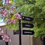 WineTour - from Cordoba to Colonia Caroya - The Itinerary in Detail: What to Expect