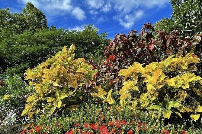 Wingfield Rainforest Adventure Hike and Caribelle Batik stop