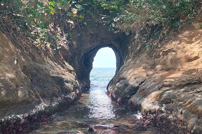 Wonderful Animals: Jaguar Rescue.C. & Punta Uva Forest Walk - Logistics, Value, and Practical Tips