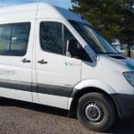 Wonderful Punta Tombo Penguin Rookery Tour for Cruise Passengers - The Value for Wildlife Enthusiasts and Cruise Passengers