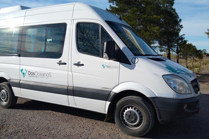 Wonderful Punta Tombo Penguin Rookery Tour for Cruise Passengers - The Value for Wildlife Enthusiasts and Cruise Passengers