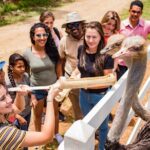 Xploration Animal Encounters Half Day Tour from Punta Cana - How This Tour Stacks Up in Value and Practicality