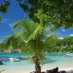 Yoga Paddle Aqua Zen, yoga on a floating carpet in connection with nature! - Who Is This Tour Best For?