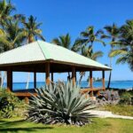Yoga Session at Villa Serena, Las Galeras - Who Will Love This?